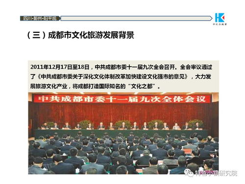 中國道源旅游度假小鎮(zhèn)項(xiàng)目策劃方案